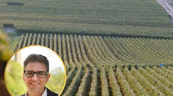 La sfida del vino in montagna: l'Amiata studia il rilancio dei terreni incolti