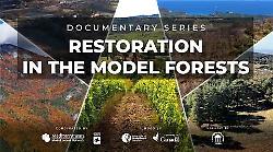 Foreste, la Toscana guida il Mediterraneo: la docuserie che racconta un modello da esportare