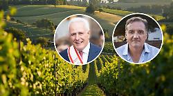 Viticoltura, dalla Regione oltre 6,7 milioni di euro per nuovi investimenti e innovazione: chi pu&ograve; accedere e come funziona