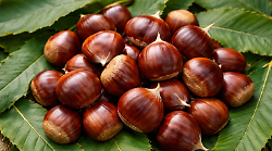 Il Comune rilancia il "pane di montagna", per il salto di qualit&agrave; della castagna