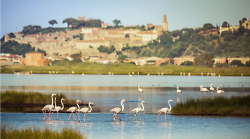 Pro loco, la svolta in Toscana: come funziona la prima legge regionale