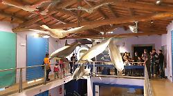 Divertirsi imparando: al Museo di Storia Naturale della Maremma arriva il laboratorio sull&rsquo;ecologia