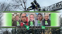 Paura dall&rsquo;alto: la minaccia degli alberi pericolanti a Grosseto e in Maremma