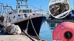 Castiglione della Pescaia d&agrave; scacco matto al Granchio Blu: cos&igrave; il borgo dei pescatori sfida il cambiamento climatico