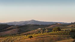 Montecucco 2026: il Sangiovese "wild" della Maremma punta su export e turismo e vola a Vinitaly