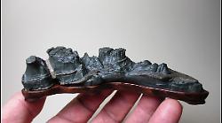 Il mondo in una pietra: l&rsquo;arte millenaria del Suiseki sbarca a Grosseto al Museo di Storia Naturale della Maremma 