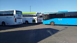 Caos autobus alla stazione di Grosseto, l'assessore Megale attacca: &laquo;Ferrovie sorde, sposteremo i bus altrove&raquo;