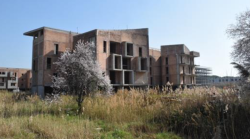 Sunia contro il piano casa: "A Grosseto 300 appartamenti pubblici da ripristinare, e altri 2.000 vecchi"