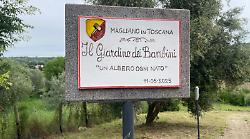 In Maremma c'&egrave; un giardino magico in cui si pianta un albero quando nasce un bambino