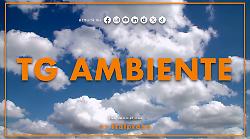 Tg Ambiente - 11/1/2026