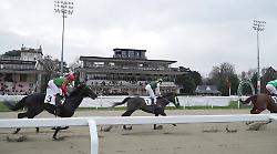 Il Gran Premio Cavalli e Sport all'Ippodromo Snai San Siro