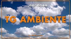 Tg Ambiente - 3/5/2026