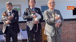 Un nuovo gatto-capostazione per la linea ferroviaria Kishigawa in Giappone