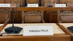 La consigliera Pd grida "Fascisti!" ai dirigenti comunali. E lascia la seduta