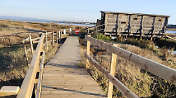 Il ponte nella Diaccia Botrona