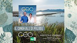 Maremma e Diaccia Botrona in vetrina nazionale: su Rai 3 il nuovo servizio di Geo