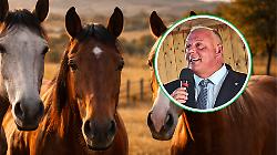 Cavalli, lo stop alla carne divide: &laquo;No a scelte ideologiche che colpiscono imprese e territori&raquo;