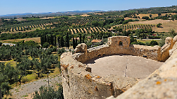 Maremma museo a cielo aperto: il 1&deg; marzo ingressi gratis e trekking fino all'Olivo della strega
