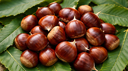 Il Comune rilancia il "pane di montagna", per il salto di qualit&agrave; della castagna