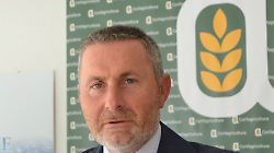 Maremma, sfida Spighe verdi, Confagricoltura chiama i Comuni: &laquo;Un&rsquo;opportunit&agrave; per valorizzare la Maremma rurale&raquo;