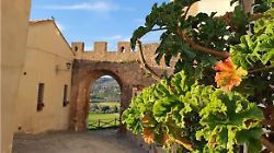 Gara tra balconi e davanzali in paese: : al via Borgo fiorito