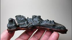 Il mondo in una pietra: l&rsquo;arte millenaria del Suiseki sbarca al Museo di Storia Naturale