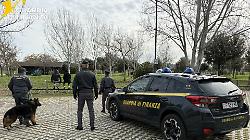 Scacco allo droga: il fiuto del cane Nasty incastra un ventenne