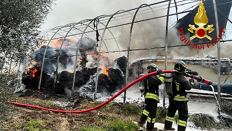 Inferno di fuoco nel rimessaggio: l'intervento dei Vigili del fuoco