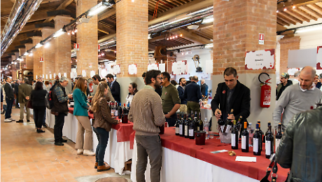 Tutto pronto per la vetrina del vino maremmano: 113 aziende tutte da degustare per &ldquo;mareMMMa&rdquo;