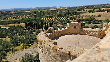 Maremma museo a cielo aperto: il 1&deg; marzo ingressi gratis e trekking fino all'Olivo della strega