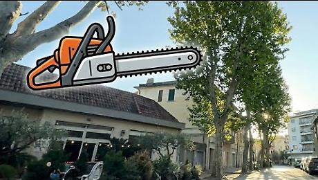 Ok all'abbattimento degli alberi nella piazza: respinto il ricorso del comitato, ma il dibattito continua. Il video