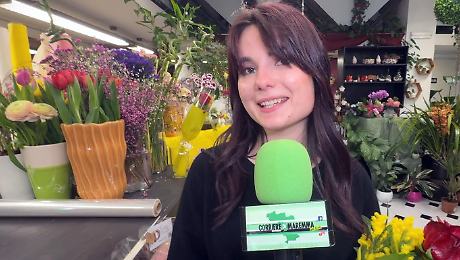 8 marzo in Maremma: perch&eacute; si regala la mimosa? La storia e i segreti delle fioraie. Le interviste