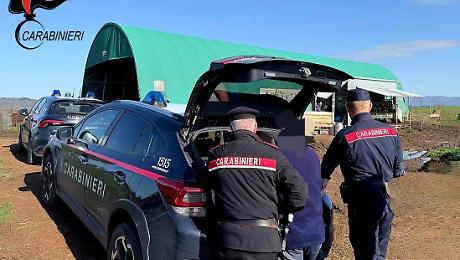 Scoperto un allevamento fantasma: sequestrate 413 pecore