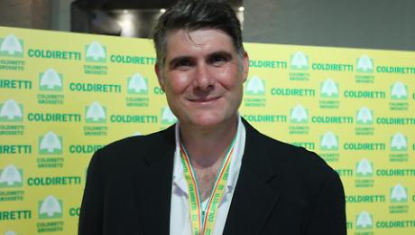 Allarme in Maremma: la malattia che costringe a estirpare le vigne