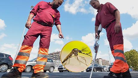 La lunga lotta della Maremma contro le zanzare: parte la disinfestazione