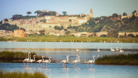 Pro loco, la svolta in Toscana: come funziona la prima legge regionale