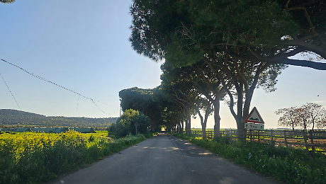 Parco della Maremma le ultime novit&agrave;: chiude (temporaneamente) una strada e cambia l'orario del centro visite