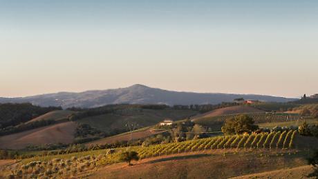 Montecucco 2026: il Sangiovese "wild" della Maremma punta su export e turismo e vola a Vinitaly