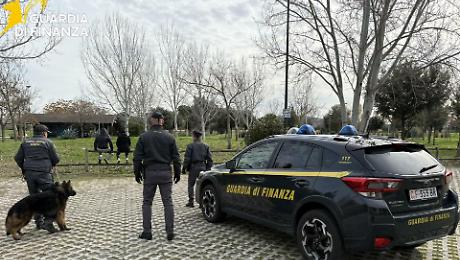 Scacco allo droga: il fiuto del cane Nasty incastra un ventenne