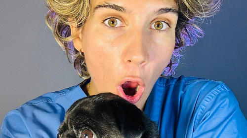 solange fugger terni digitale