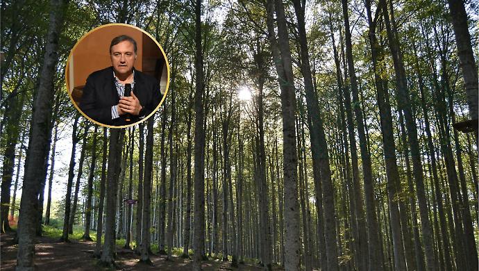 Boschi e foreste protetti: 1,1 milioni di fondi per la Maremma verde