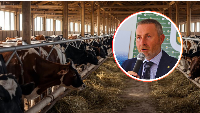 Predatori alle porte della citt&agrave;: attacco notturno a pochi metri dalle abitazioni, Confagricoltura lancia l'allarme