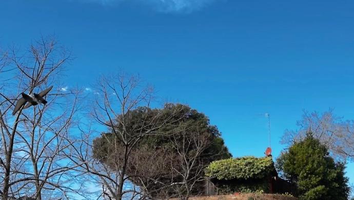 Grosseto ritrova il sole: febbraio regala un assaggio di primavera