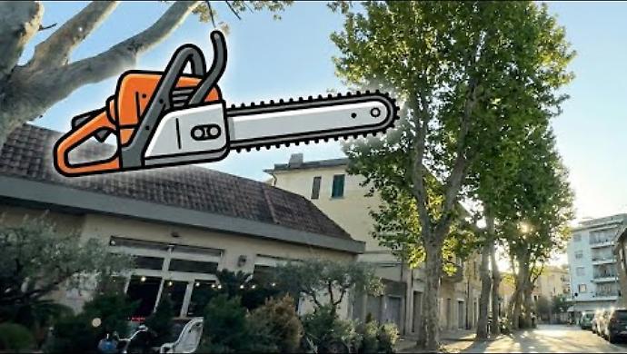 Ok all'abbattimento degli alberi nella piazza: respinto il ricorso del comitato, ma il dibattito continua. Il video