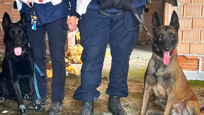 Blitz in un immobile comunale a Grosseto: sequestrata cocaina e 1.350 euro, quattro denunciati