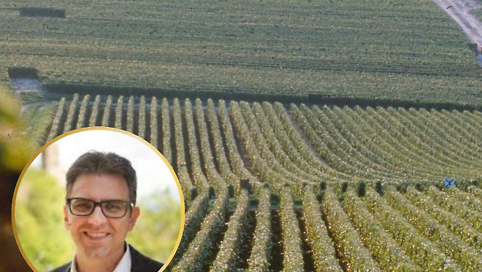 La sfida del vino in montagna: l'Amiata studia il rilancio dei terreni incolti