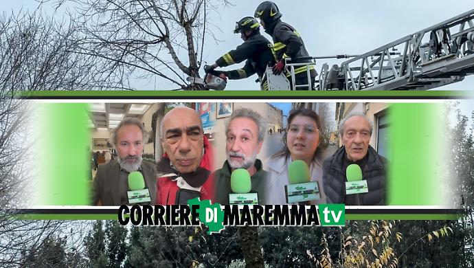 Paura dall&rsquo;alto: la minaccia degli alberi pericolanti