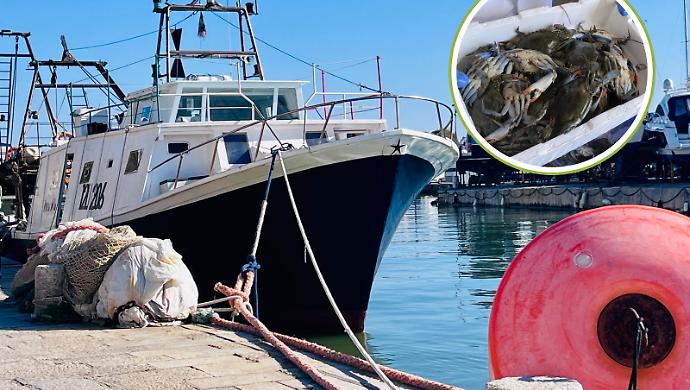 Scacco matto al Granchio Blu: cos&igrave; il borgo dei pescatori sfida il cambiamento climatico