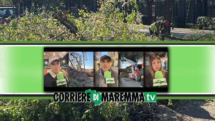 Pini s&igrave; o no? La citt&agrave; si divide, ma tra pericoli e strade devastate agire &egrave; inevitabile