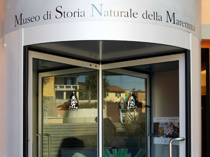 Grosseto, appuntamento stellare: torna la serata astronomica al Museo di storia naturale